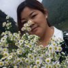 女人如烟的头像