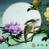萍的头像