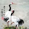 无悔的头像