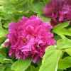 的头像