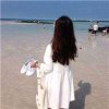 浅语时光的头像