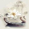 雨天的头像