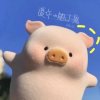 iPAO的头像