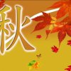 兰的头像