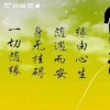 春梅君悦堂的头像