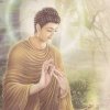 山东大爷的头像