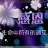 平凡《停币》的头像