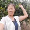 风云的头像