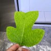 TX的头像