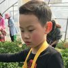 番禺雅阁的头像