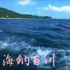 燕子哥（海之韵）的头像