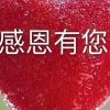 我心依旧的头像