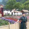 雨&絮(jxy)的头像
