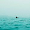 碧海泛舟、上班时间有限回复不周请见谅的头像