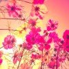 似水年华的头像