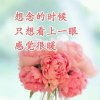 依恋的头像
