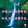 陌瑾的头像