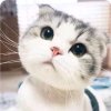 。。。的头像