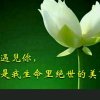 风雨无阻的头像