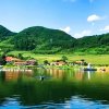 青山绿水的头像
