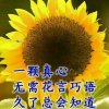 梅聽鳯语的头像