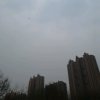 宿缘随遇，而安的头像