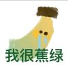 ZD@洛依的头像