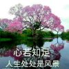 心如镜水的头像