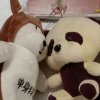 野狼嚎的头像