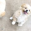 蕾的头像