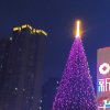 情意如歌的头像