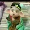 开心快乐偶尔在线的头像