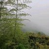 红尘妃子醉的头像