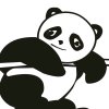 丽丽的头像
