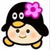 宋言软@顾念.的头像