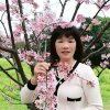 贵华 传媒（jSi～江姐）的头像