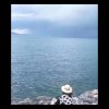 甜甜小妹的头像