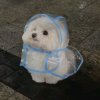BLACKPINK啦啦啦的头像