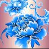 东北哥小号的头像