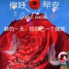 雪莲的头像