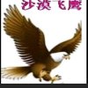 沙漠飞鹰的头像