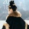 兰兰的头像