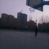 海岸的头像