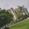 山青青的头像
