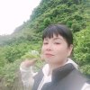 紫罗兰的头像