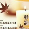 珍惜每一天的头像