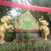 兰花草的头像