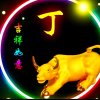 爱你一生的头像