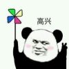 小楊的头像