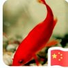 旺旺的头像